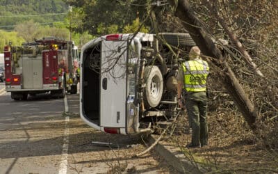 Pedestrian Killed Accident Involving Utility Truck