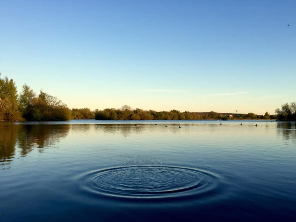 Ripples across a lake for a drowning concept.